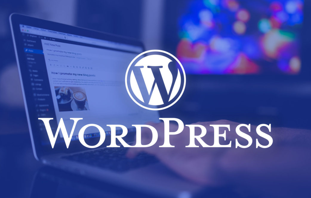 WordPress Haber Botu 2024