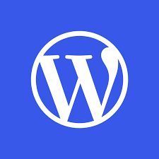 WordPress Haber Teması 2024